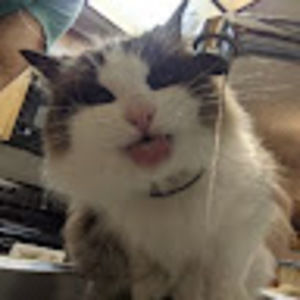 Meet your Posher, Joseph